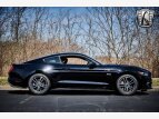 Thumbnail Photo 6 for 2017 Ford Mustang GT